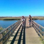 albufeira-coast-and-countryside-mountain-bike-tour-in-albufeira-226843