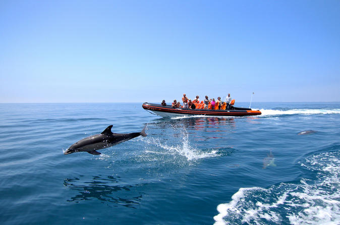 dolphin-watching-and-cave-tour-from-vilamoura-in-quarteira-198184