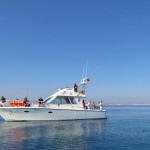 half-day-reef-fishing-from-vilamoura-in-quarteira-206298