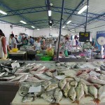 quarteirafishmarket