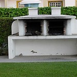 image6