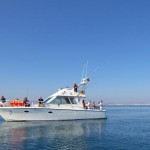 half-day-reef-fishing-from-vilamoura-in-quarteira-206298